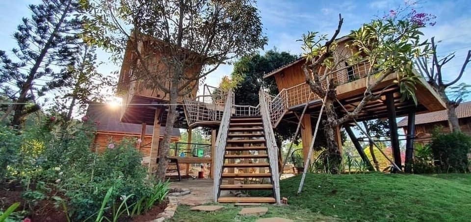 Greenfield - Farmstay xanh mướt, yên bình tại Vũng Tàu