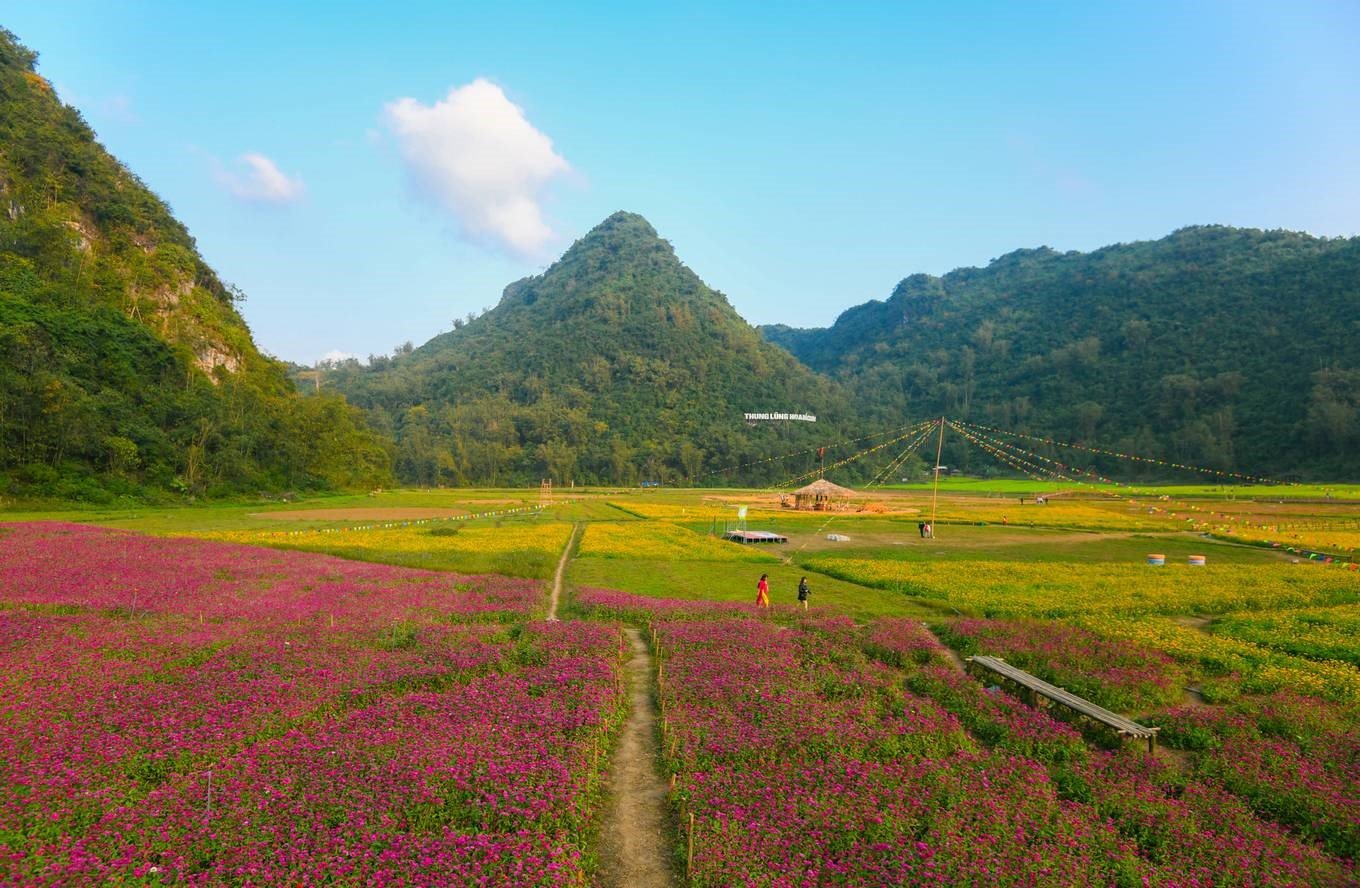 Thung lũng hoa Bắc Sơn