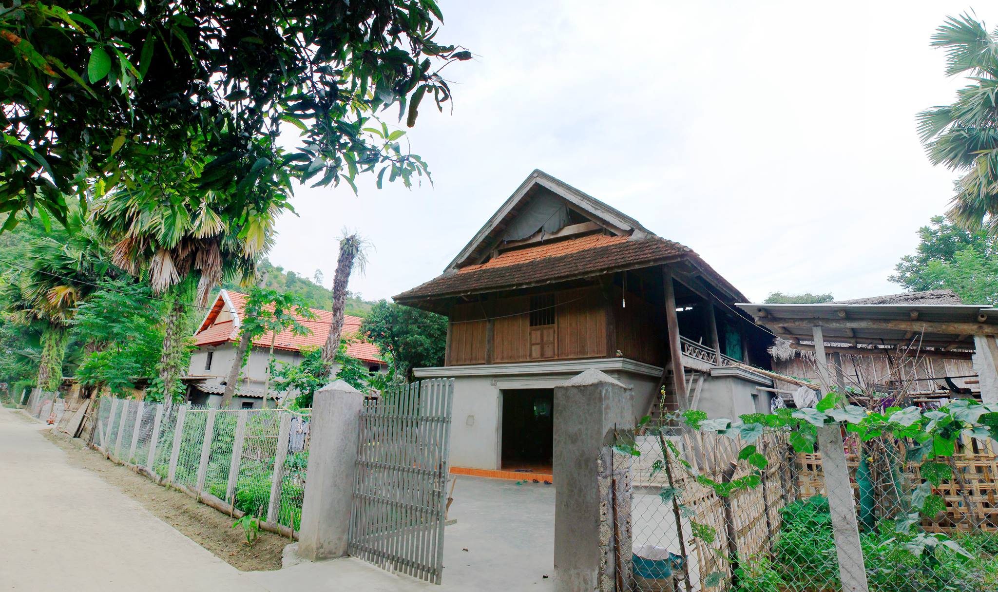 Hồng Long Homestay