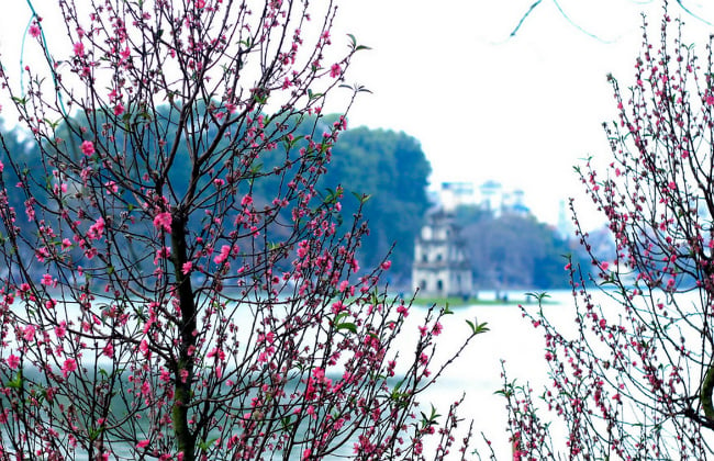 Hà Nội khi vào xuân